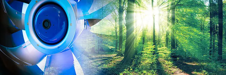 blue axial fan FE2owlet fading into forest green environment