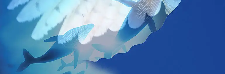 Graphic bionical design