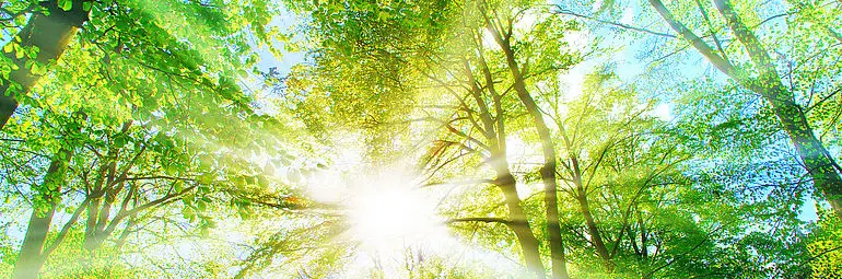 ZIEHL-ABEGG 环境与 ErP 指令